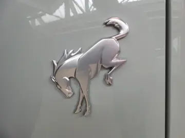 FORD Bronco TG1 Badlands e-4WD Dachträger  Heck Zelt