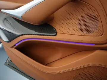 ASTON MARTIN DBX 4.0 V8   23    Sport Exhaust   AHK   Carbon