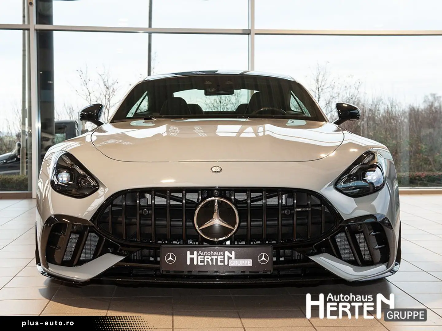 MERCEDES-BENZ Mercedes-AMG GT 63 Pro 4M PREMIUM 21  NIGHT II