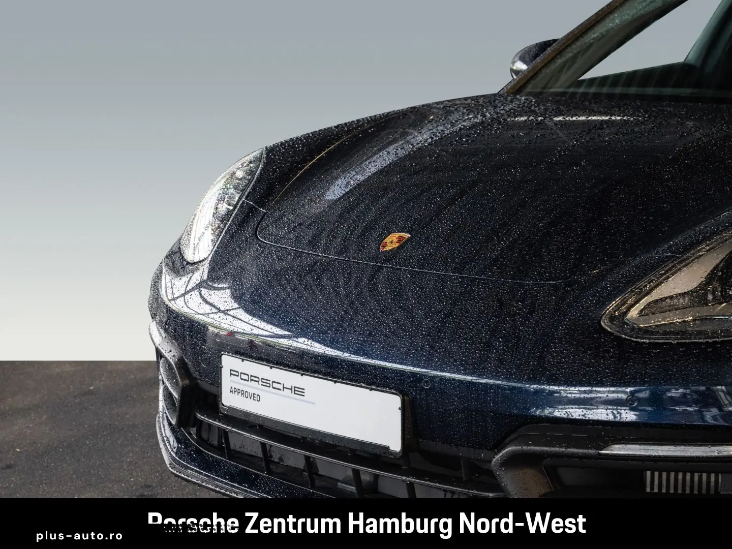 PORSCHE Panamera 4S E-Hybrid Sportabgas BOSE Hinterachsl