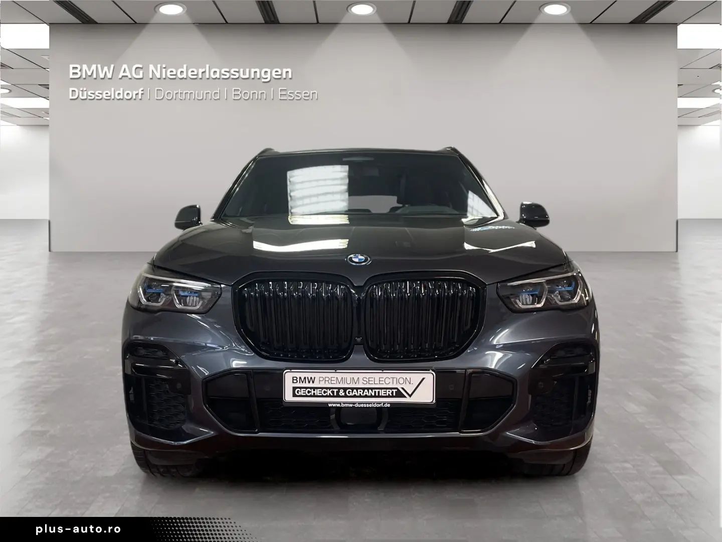 BMW X5 xDrive45e M Sport AHK Driv.Assist.Prof Laser