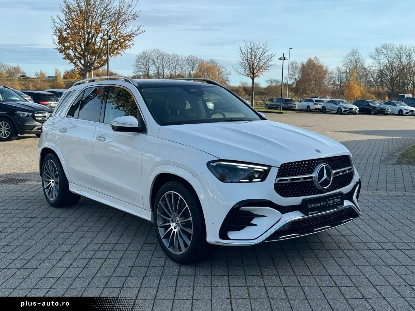 MERCEDES-BENZ GLE 450d Airmatic Pano