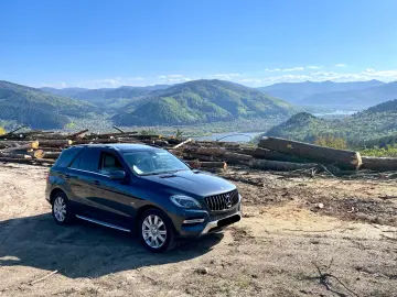 Mercedes-Benz ML 250