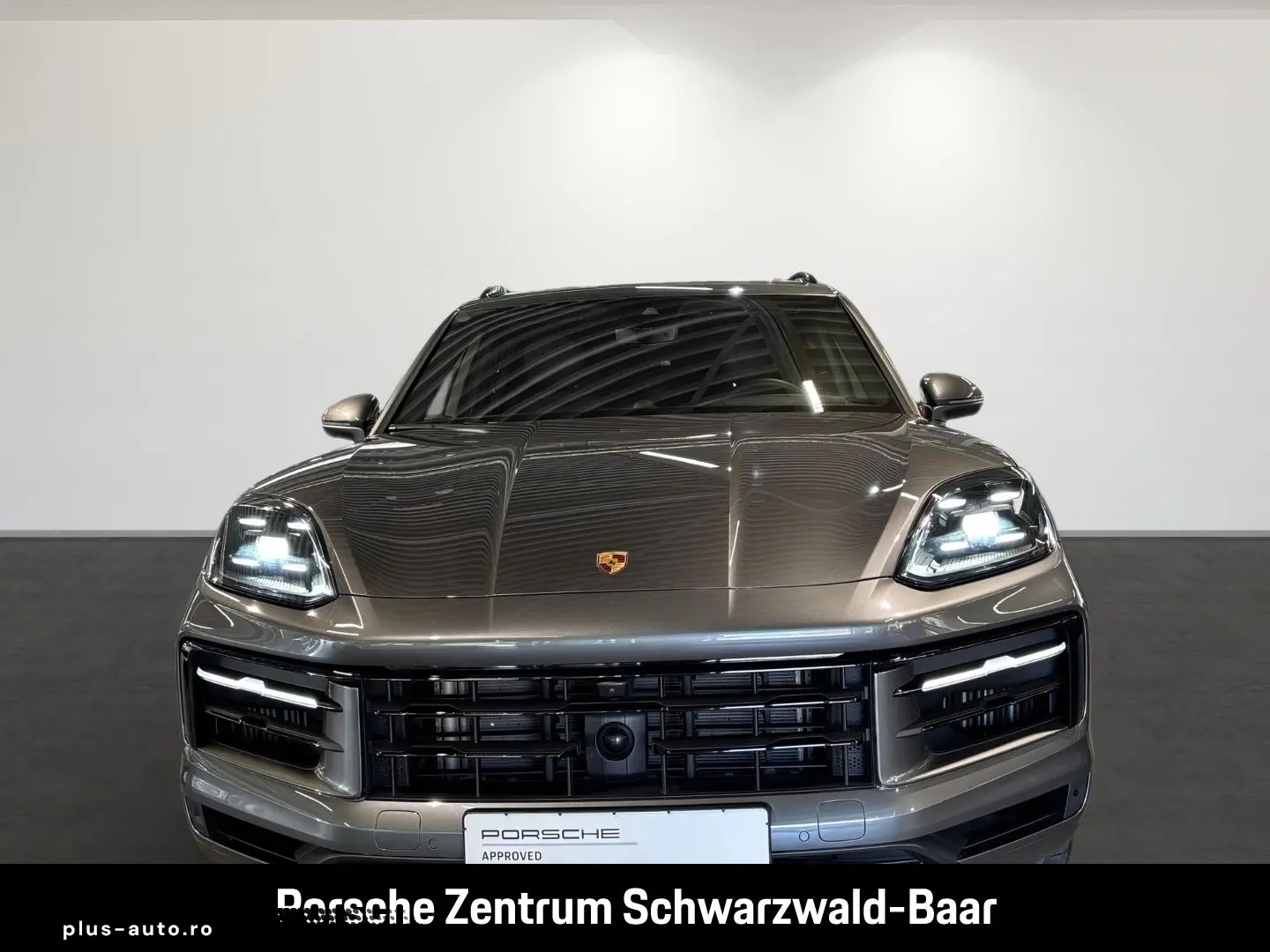 PORSCHE Cayenne E-Hybrid BOSE LED-Matrix Panoramadach