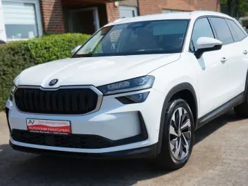 SKODA Kodiaq 2.0 TDI 193 PS 4x4 Sport Head Up 7 Sitzer