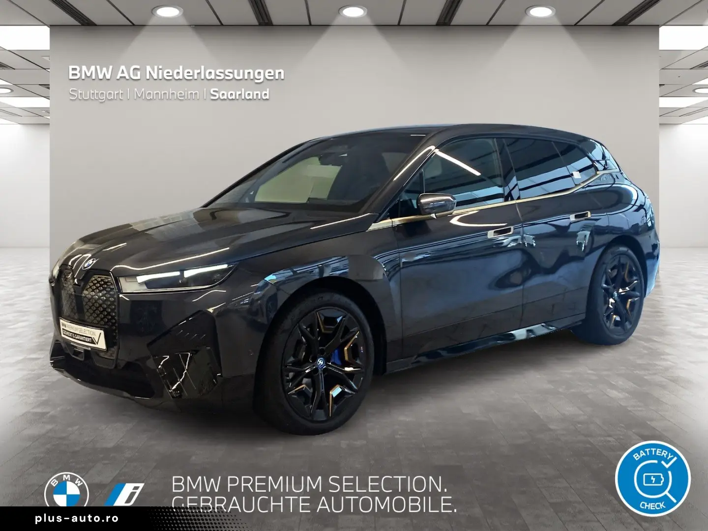 BMW iX xDrive40 AHK Driv.Assist.Prof Kamera