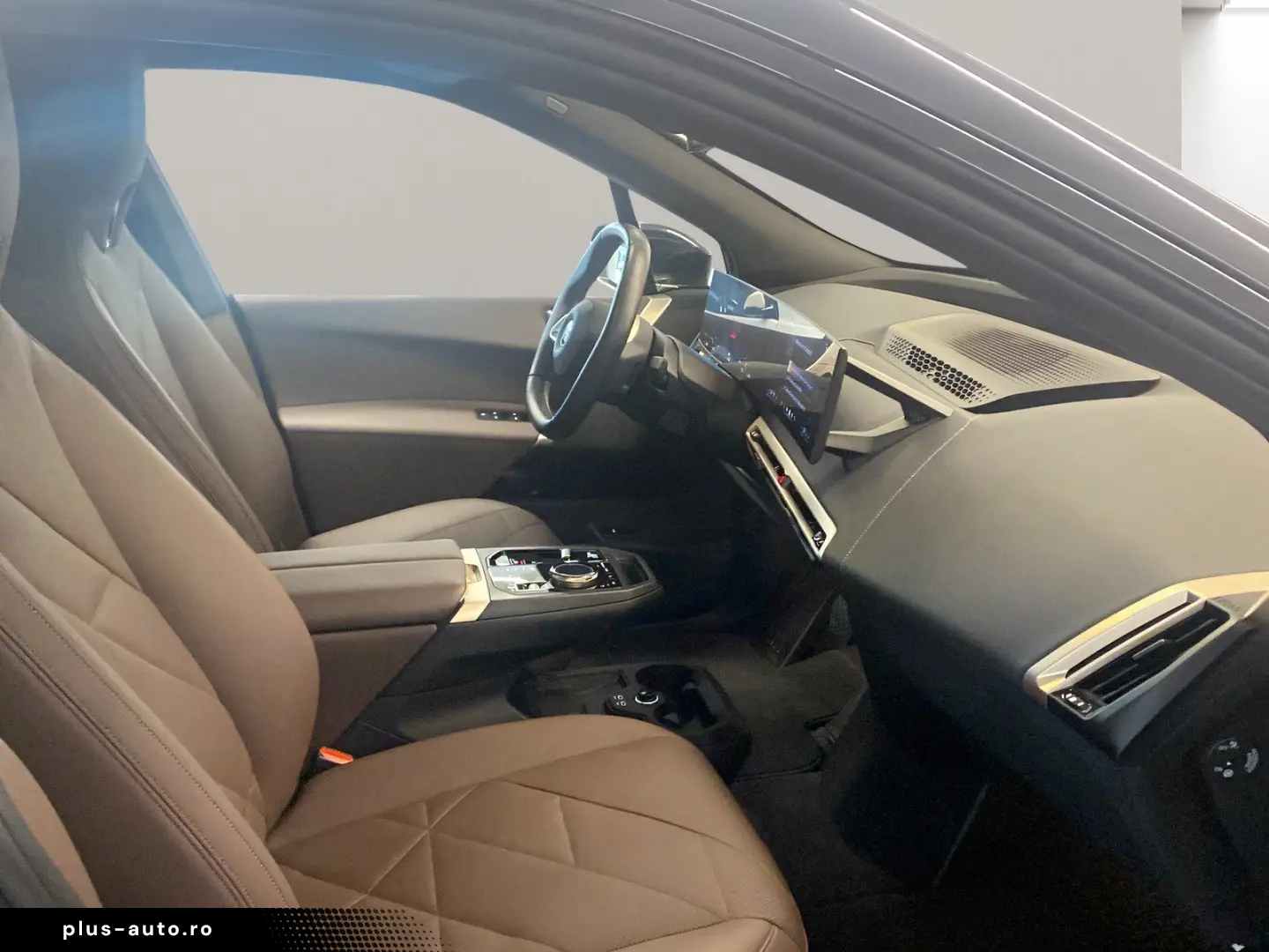 BMW iX xDrive40 AHK Driv.Assist.Prof Kamera