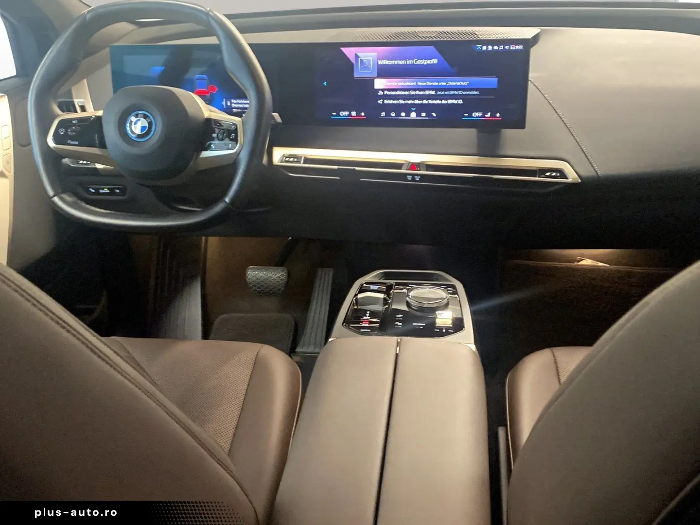 BMW iX xDrive40 AHK Driv.Assist.Prof Kamera