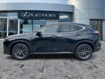 LEXUS NX 450h  Business Line Navi 4xSHZ 360KAM DAB