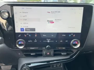 LEXUS NX 450h  Business Line Navi 4xSHZ 360KAM DAB