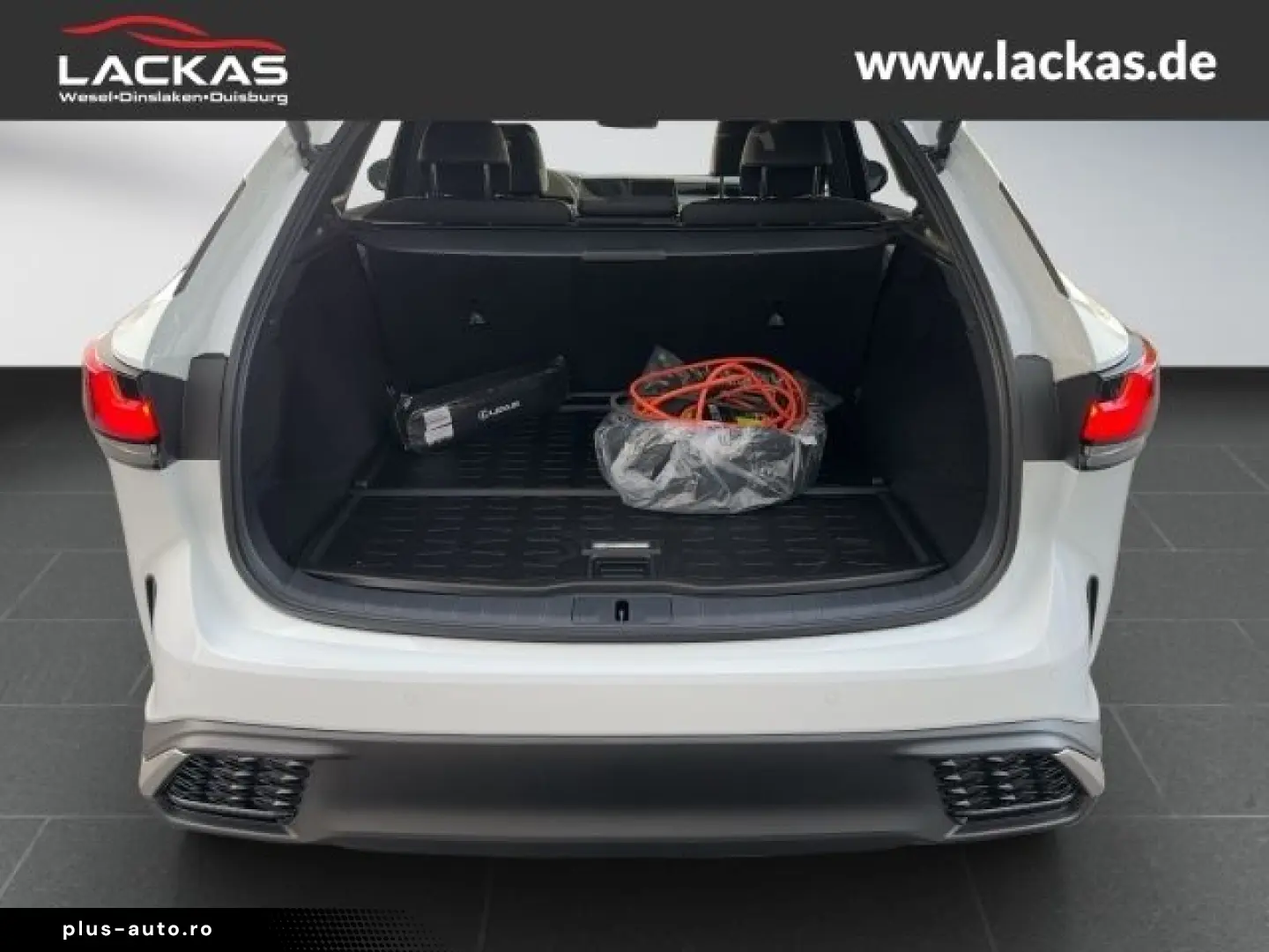 LEXUS RX 450 F-SPORT  PANO 360`KAM. Voll 15J.Garantie