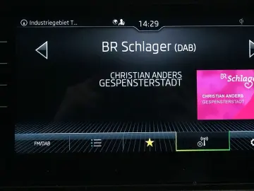 SKODA Kodiaq L&K 4x4 2.0 TDI ACC CANTON 360  STDHZ