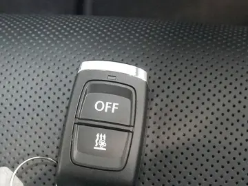 SKODA Kodiaq L&K 4x4 2.0 TDI ACC CANTON 360  STDHZ