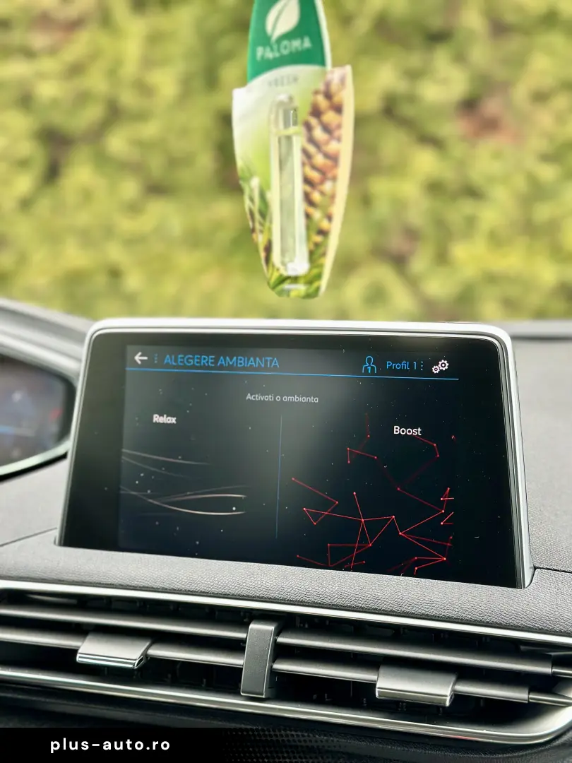 Peugeot 3008  conversie lanț  încălzire scaune garantie rate