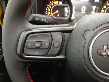 Jeep Wrangler Rubicon 2.0 T the. Verdeck