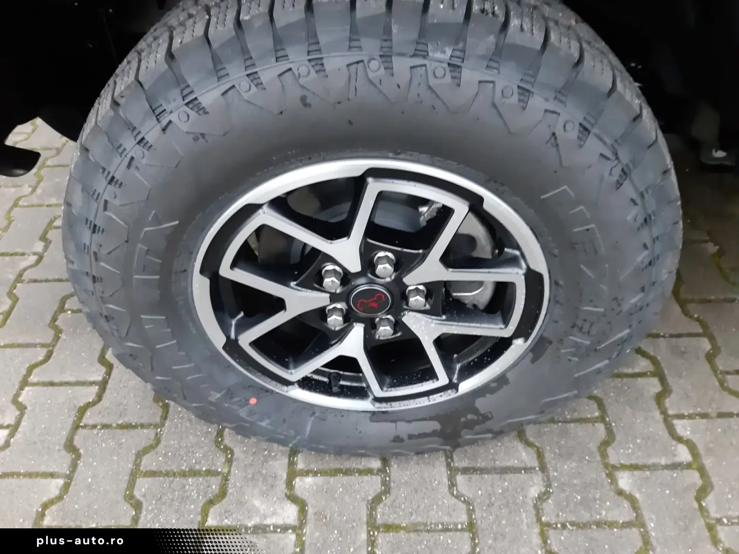 Jeep Wrangler Rubicon 2.0 T the. Verdeck