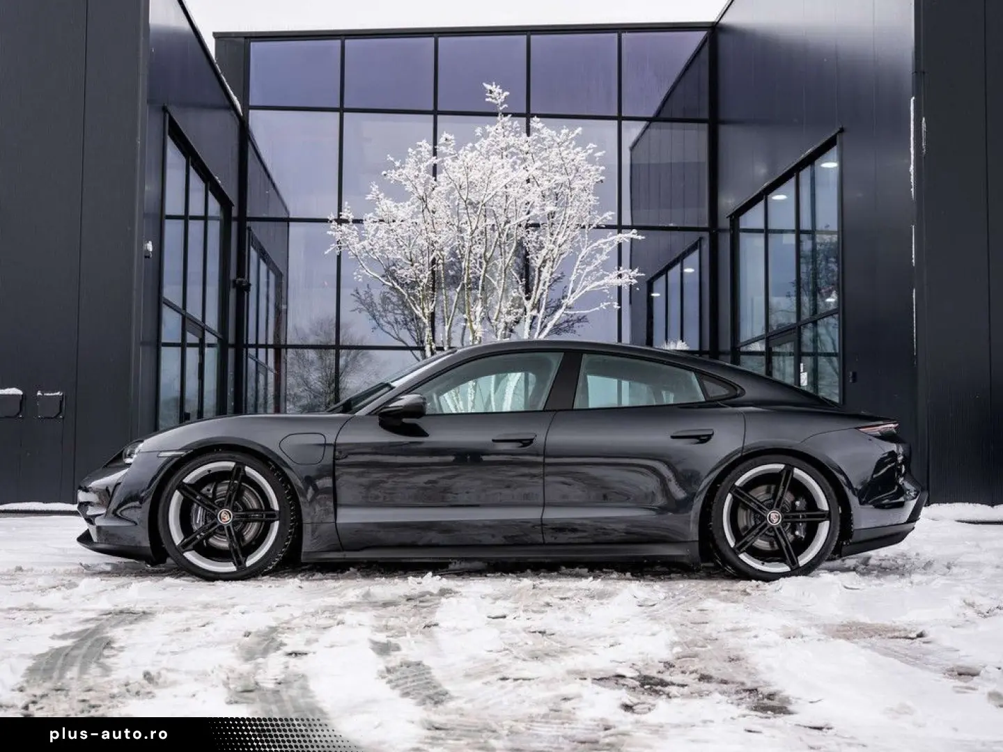 PORSCHE Taycan Taycan - Pano - Bose - CC - Adaptieve luf