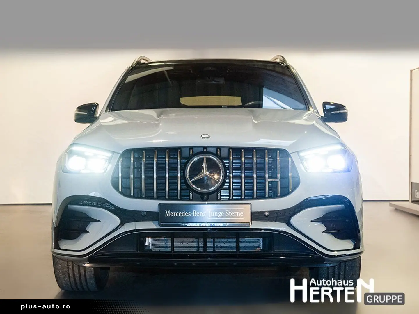 MERCEDES-BENZ HYBRID 4M