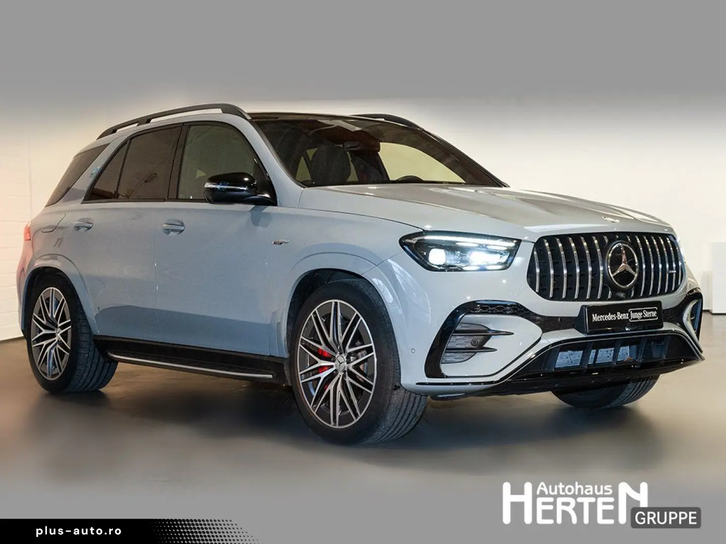 MERCEDES-BENZ HYBRID 4M