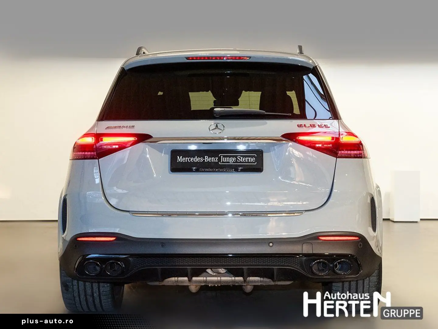 MERCEDES-BENZ HYBRID 4M