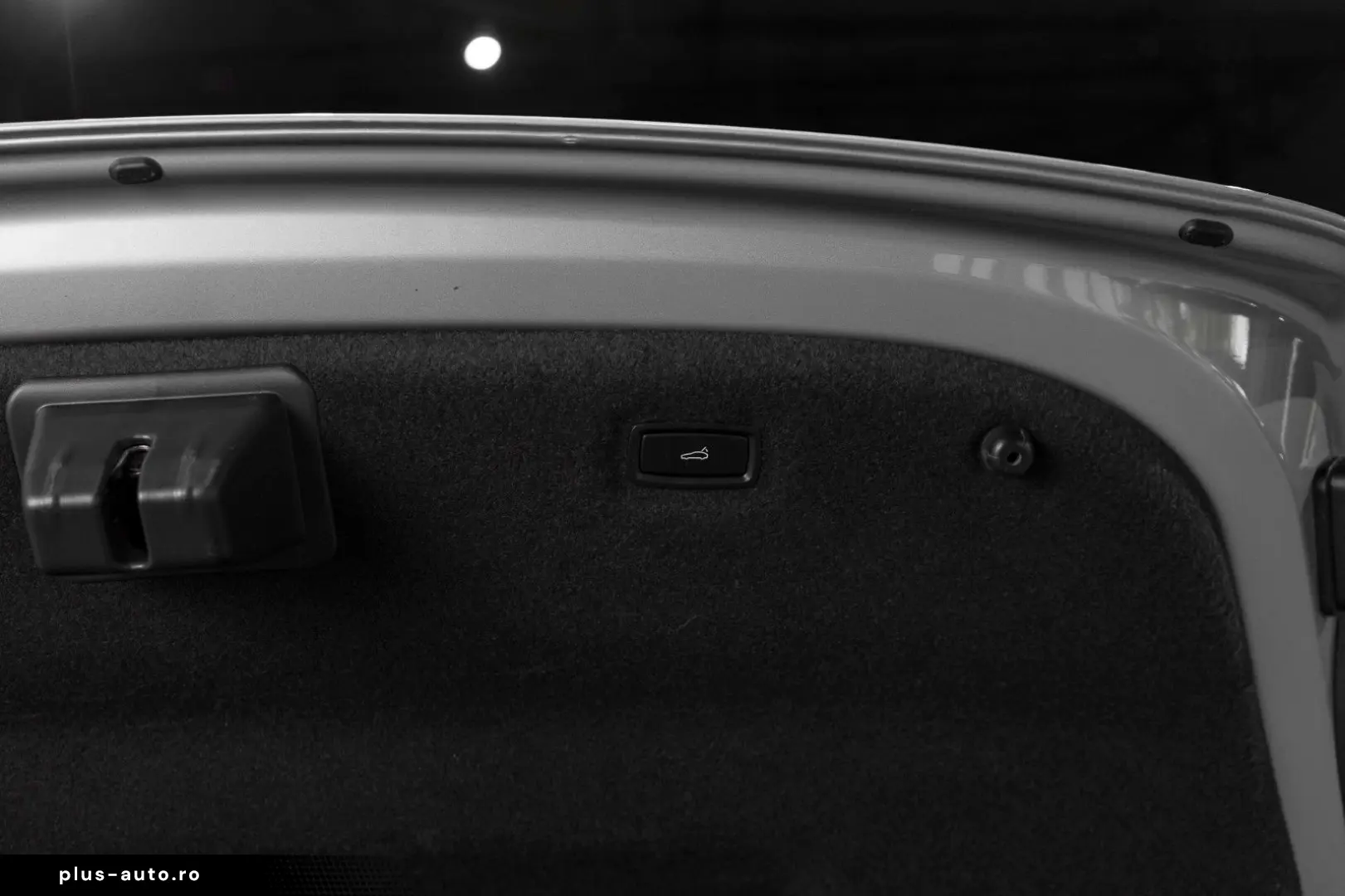 PORSCHE Taycan RWD Ambient VENT PANO 21