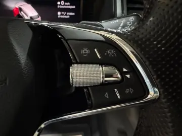 SKODA Kodiaq Clever2.0TDI DSG AHK 360CAM ACC 4xSHZ 19