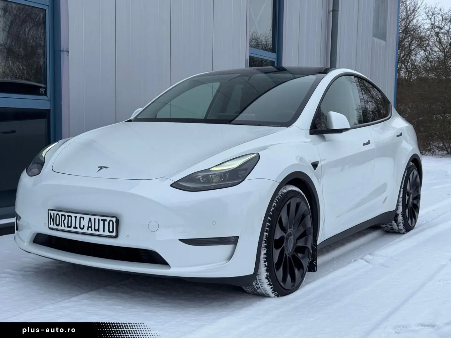 TESLA Model Y Performance AWD