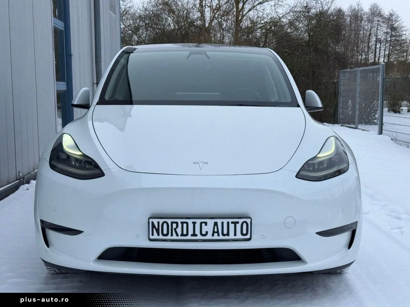 TESLA Model Y Performance AWD