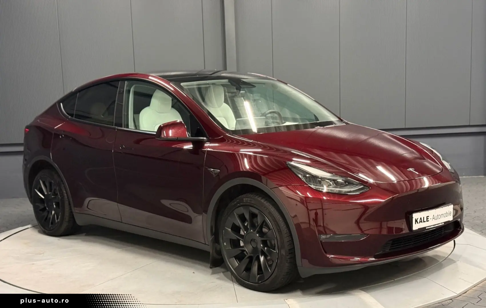 TESLA Model Y Long Range Dual AWD 20Zoll LEDER Hell WP