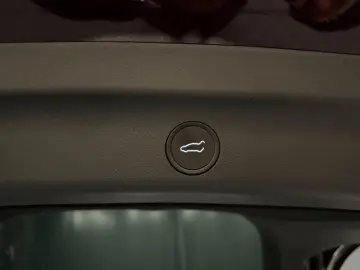 TESLA Model Y Long Range Dual AWD 20Zoll LEDER Hell WP