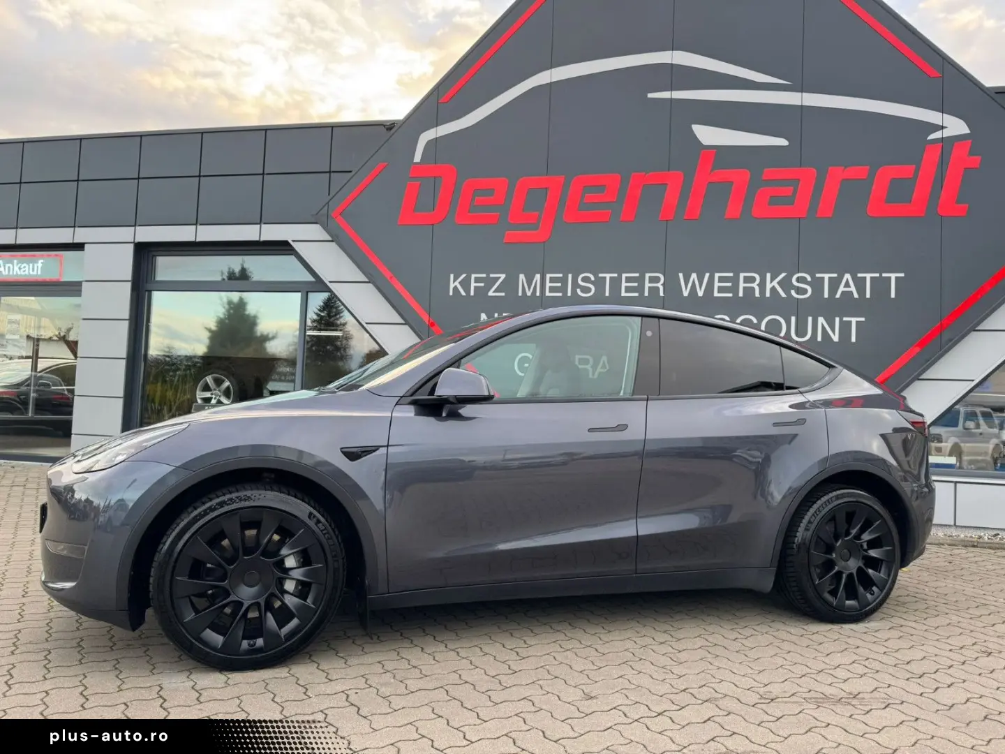 TESLA Model Y Long Range Dual AWD Matrix