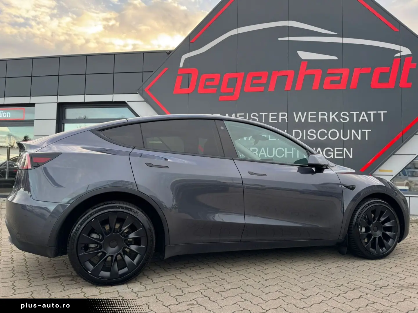 TESLA Model Y Long Range Dual AWD Matrix