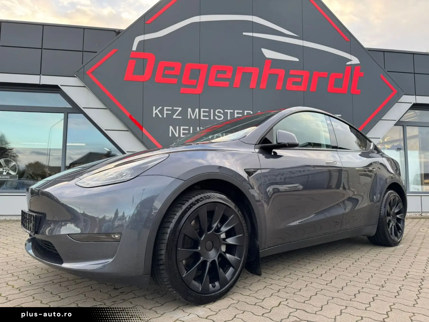 TESLA Model Y Long Range Dual AWD Matrix