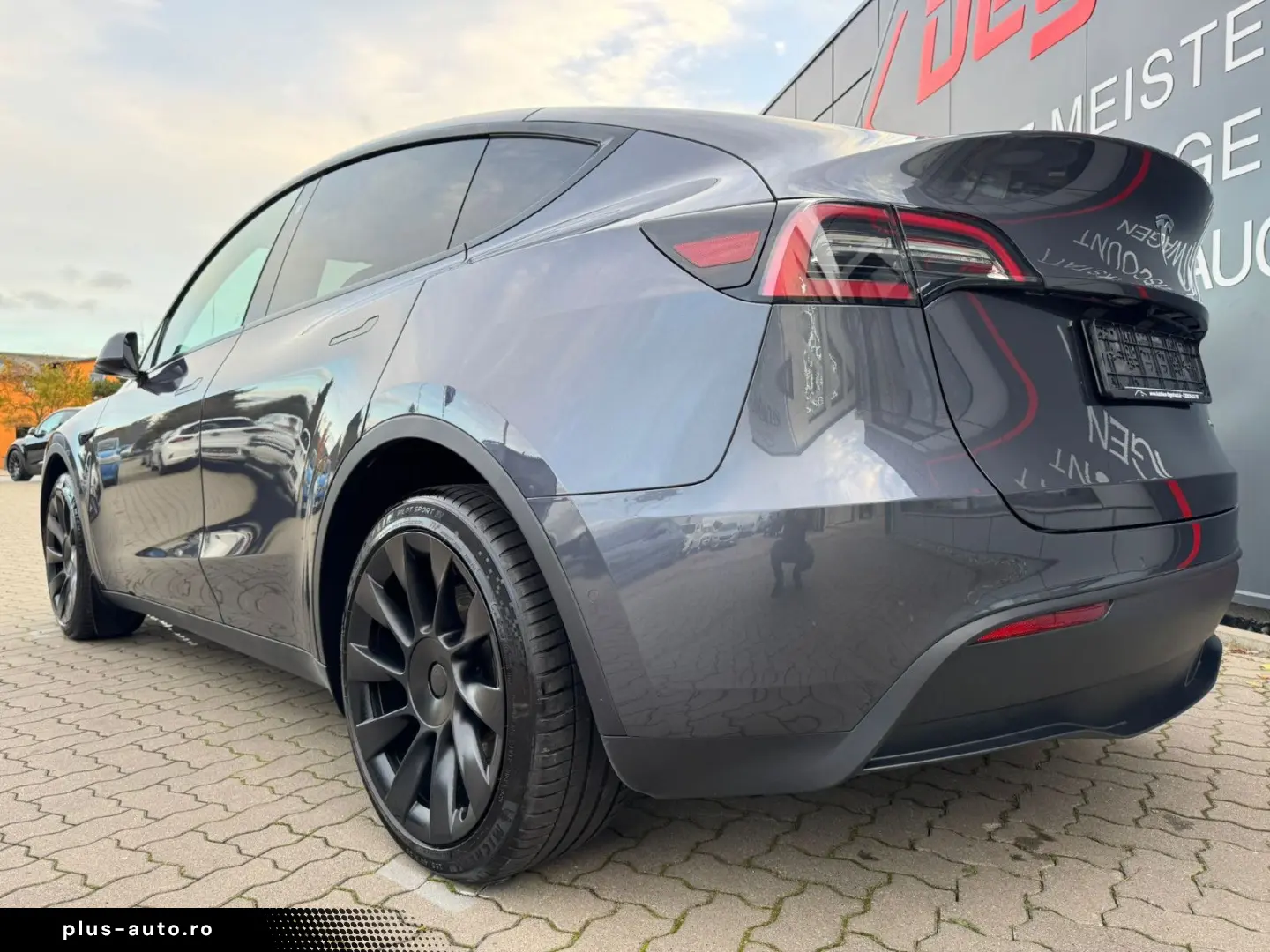 TESLA Model Y Long Range Dual AWD Matrix