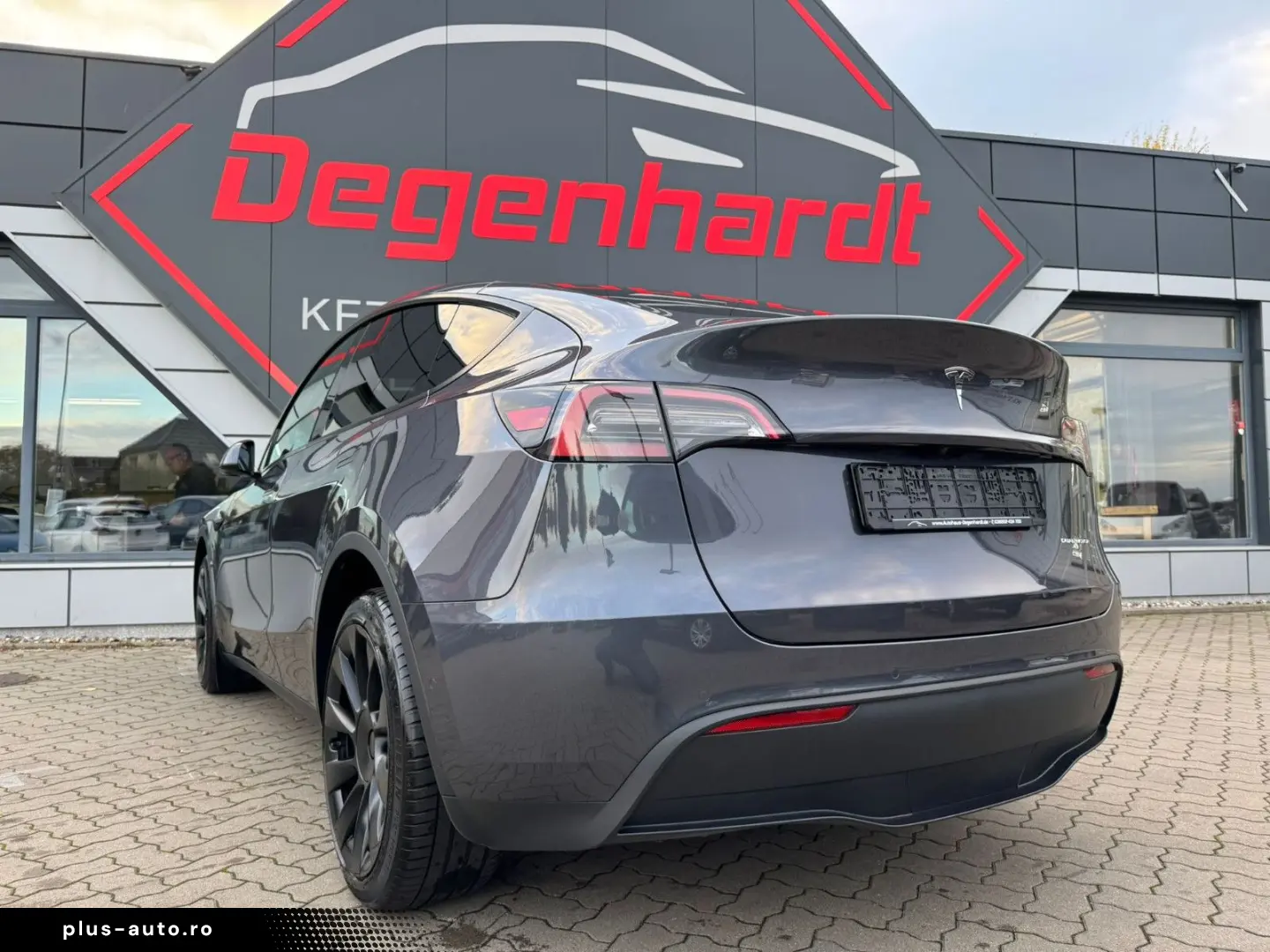 TESLA Model Y Long Range Dual AWD Matrix