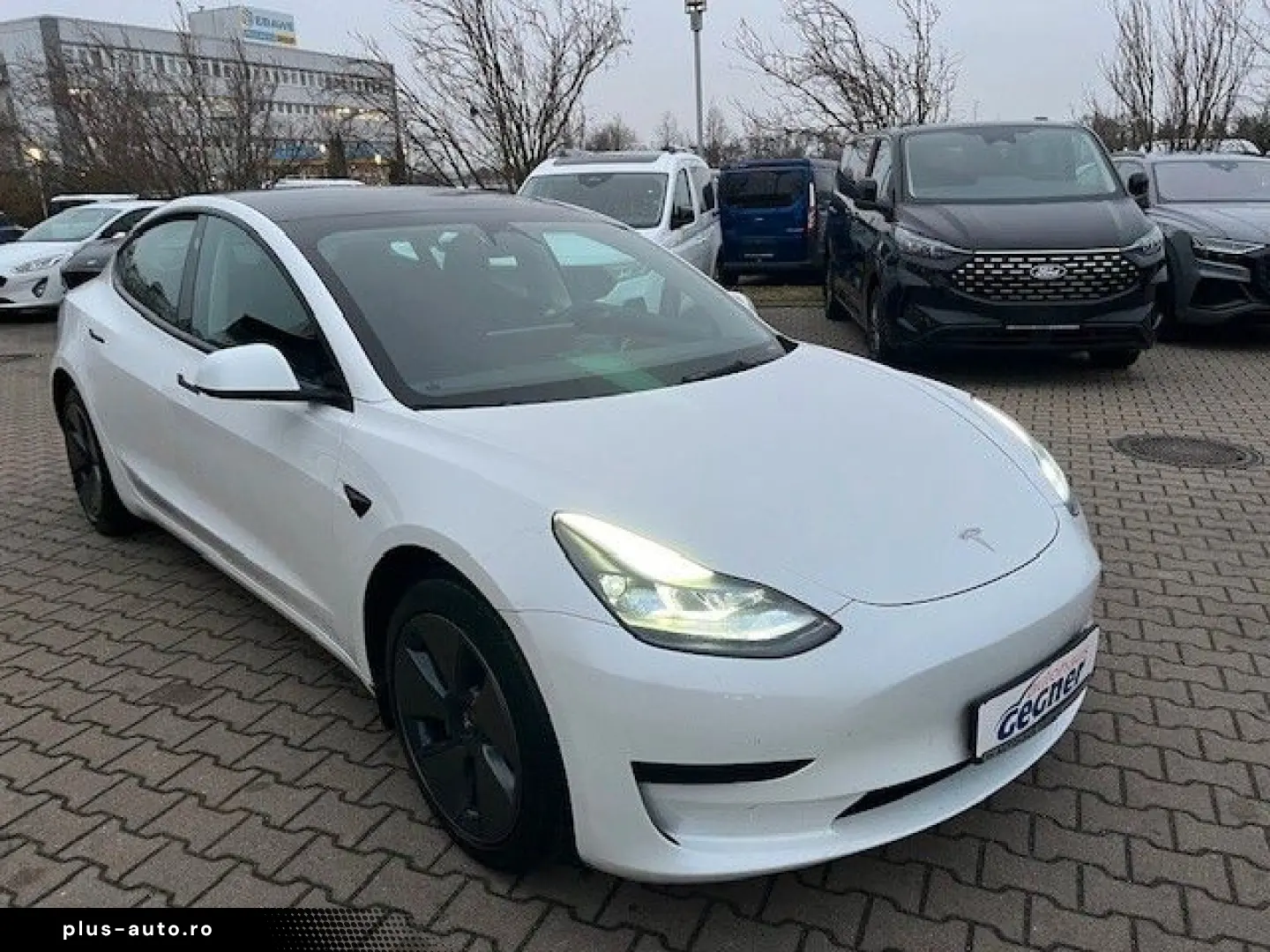 TESLA Model 3 RWD Navi Leder RFK Panorama