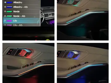 BMW Seria 3 318i Aut. Luxury Line Automatik Ambient