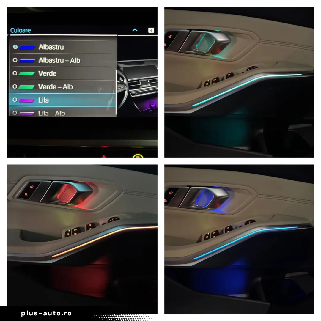 BMW Seria 3 318i Aut. Luxury Line Automatik Ambient