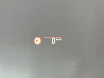 BMW X4 M40d NAV LED AHK PANO HEAD-UP H&K ACC 21ZO VC