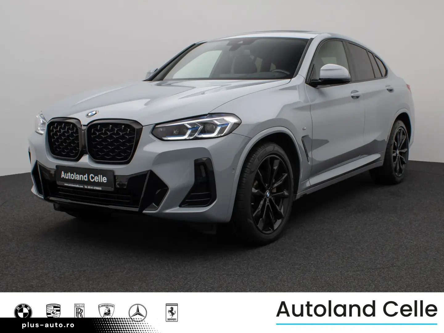 BMW X4 xD30d M Sport Panorama Laser Kamera HUD HiFi