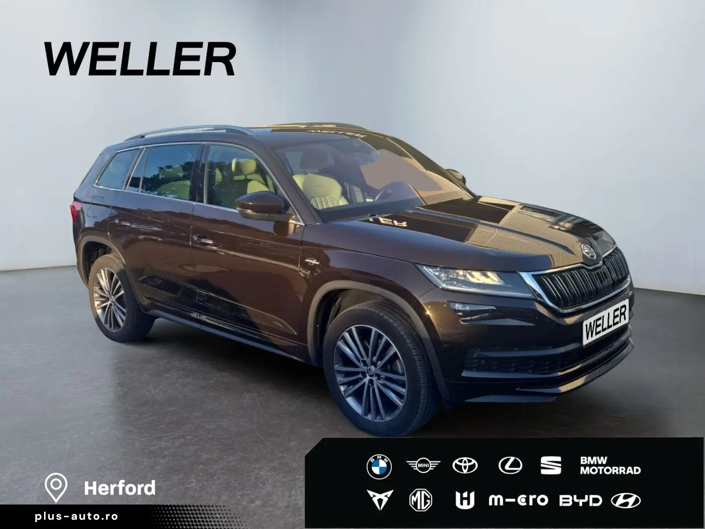 SKODA Kodiaq 2.0 TDI 4x4 DSG L&K  Matrix Leder CANTON