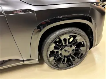 BMW XM Label Red Carbon B&W Black Frozen 23 Zoll AHK