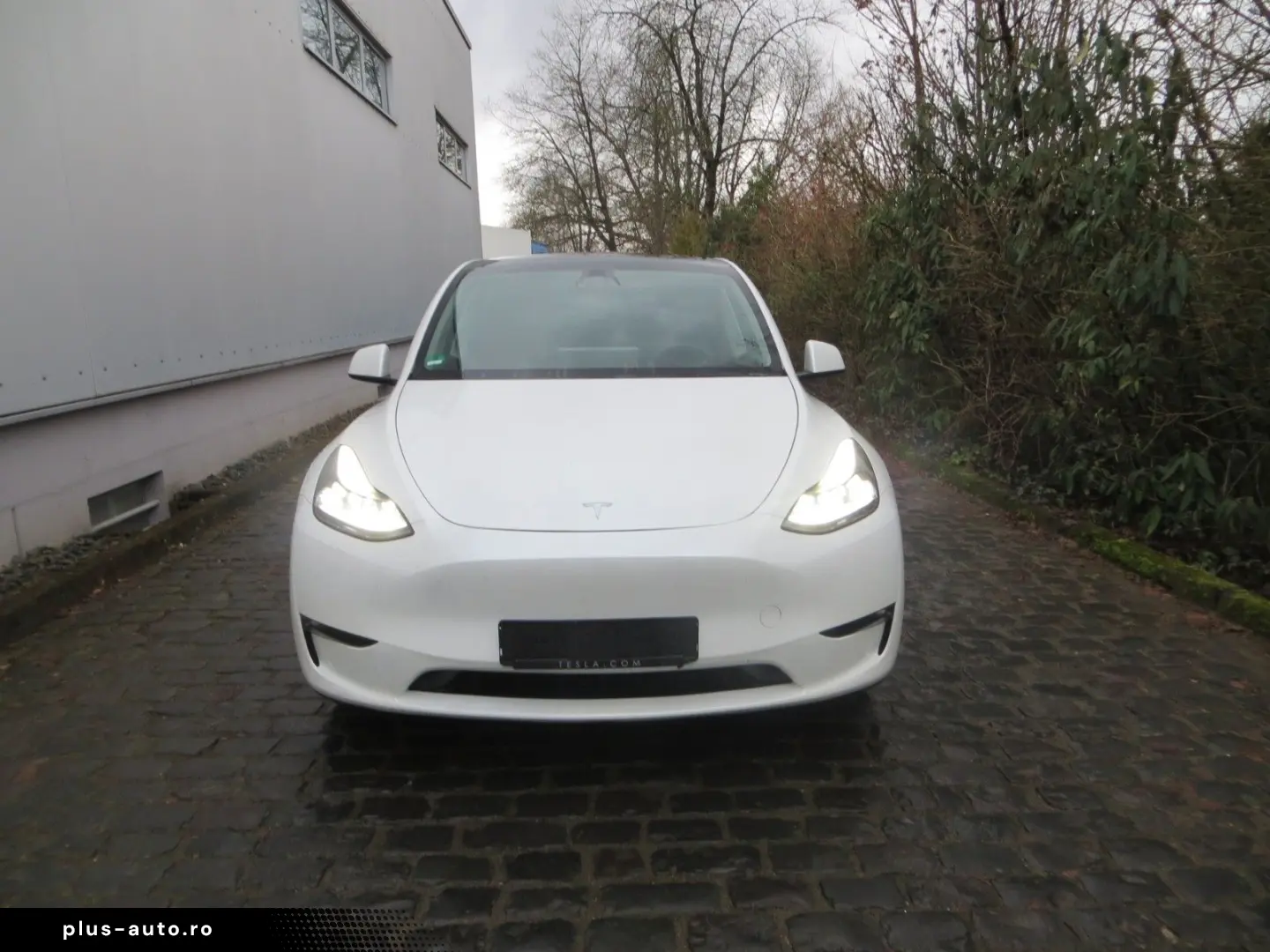 TESLA Model Y Long Range Dual AWD