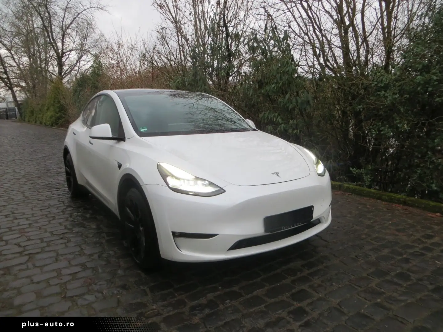 TESLA Model Y Long Range Dual AWD