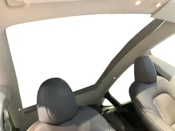 TESLA Model Y Performance Dual AWD Fahrassist Pano Cam