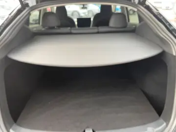 TESLA Model Y Performance Long Range