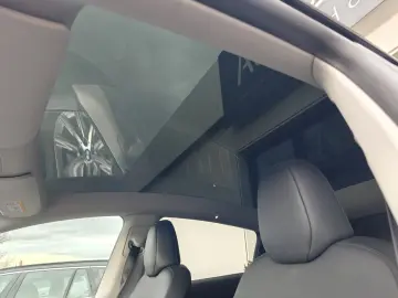 TESLA Model Y Performance Dual AWD PANO VOLL