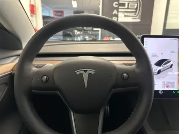 TESLA Model 3 Performance Dual AWD
