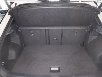 VW T-Roc  R Black Style 2.0TSI DSG  299 -ohne Anzah