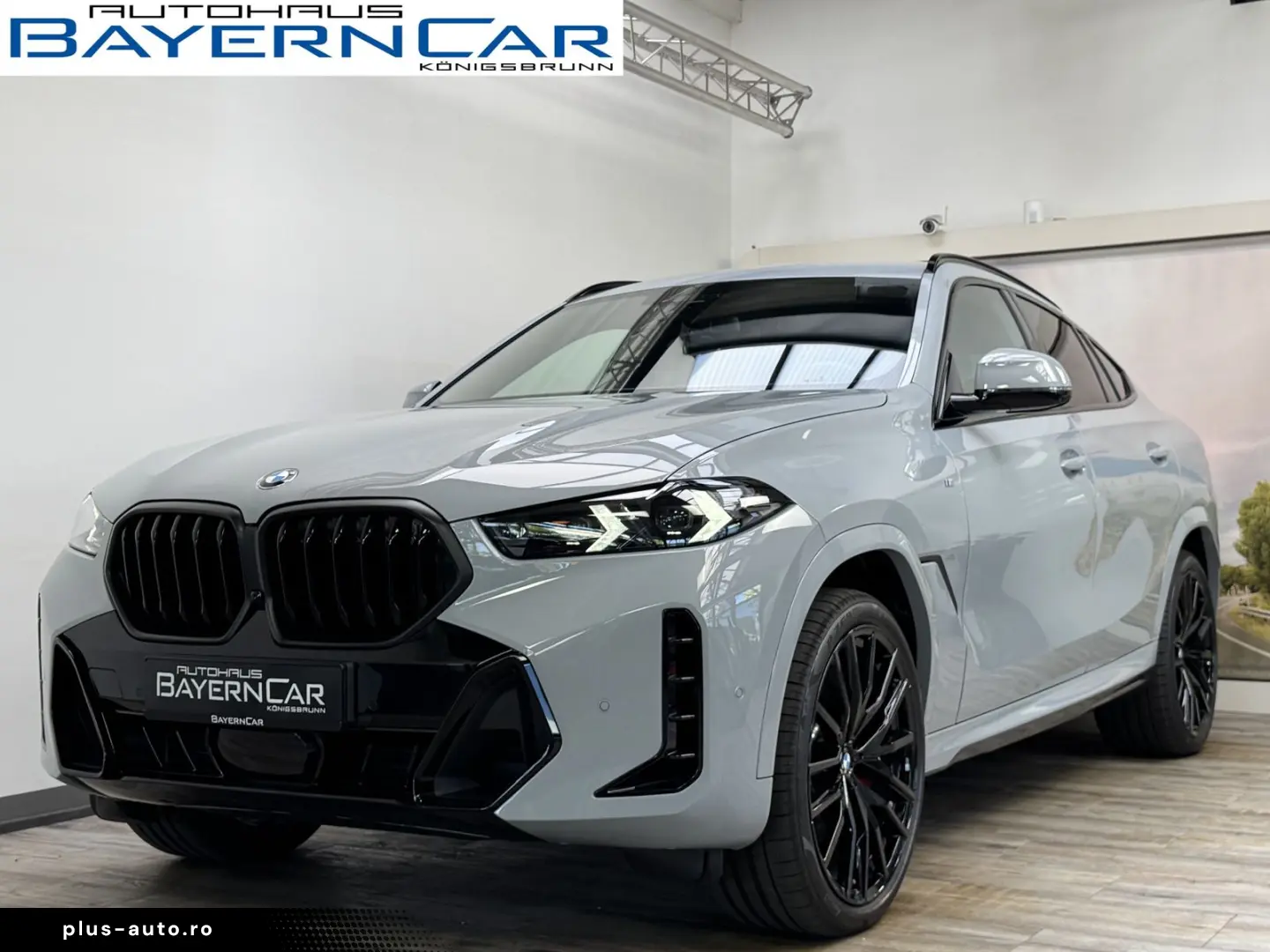BMW X6 xDrive40d M Sport Pro 22